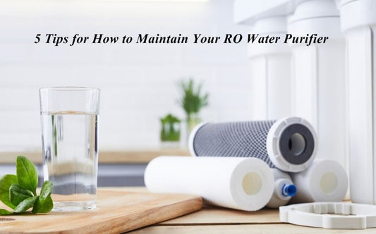 5 Tips for the Maintenance of RO Water Purifier at Home