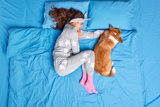 The pros and cons of sleeping with your pet