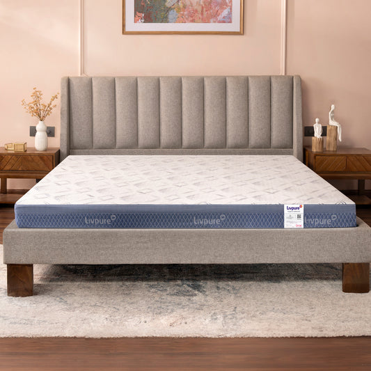 ORTHO PRO+ MEMORY PROFILE with S-Shape HR Foam Mattress