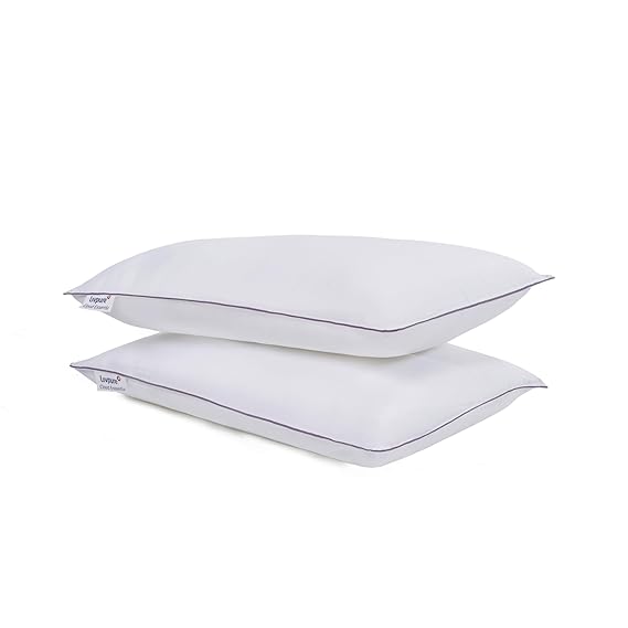 Cloud Essentia Loftsilk Micro Fiber Pillow