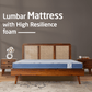 Livpure Sleep Mattress Lumbar: HR Foam Mattress With 3D Sleeptech™