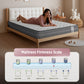Livpure Sleep Mattress Ortho CurvX: HR + Memory Foam Mattress With Curved Orthopaedic Foam