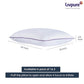 Livpure Sleep Pillow Cloud Plus Memory fiber | Micro Fiber Pillow