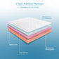 Layer View of Ortho Curvx Mattress - Livpure