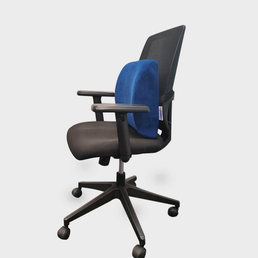 Buy Spyne Back Support Chair Cushion Online in India, Best Back